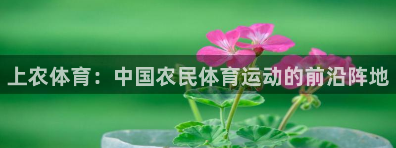 三亿体育：上农体育：中国农民体育运动的前沿阵地