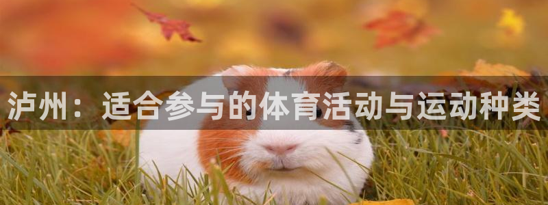 三亿体育网：泸州：适合参与的体育活动与运动种类