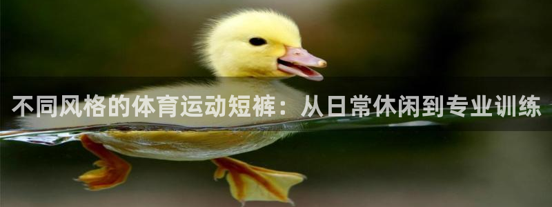 三亿体育网：不同风格的体育运动短裤：从日常休闲到专业训练