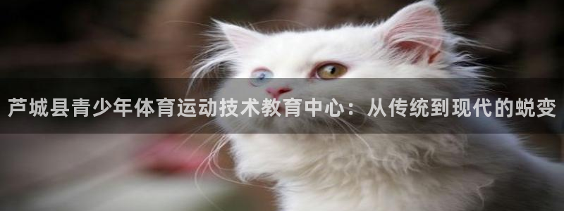 三亿体育：芦城县青少年体育运动技术教育中心：从传统到现代的蜕变