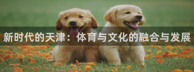 三亿体育登录：新时代的天津：体育与文化的融合与发展