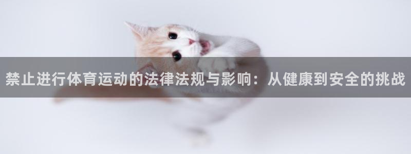 三亿体育网页版：禁止进行体育运动的法律法规与影响：从健康到安全的挑战