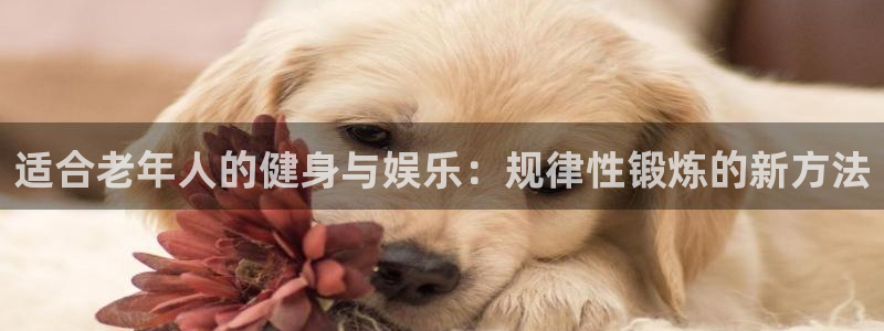 三亿体育登录：适合老年人的健身与娱乐：规律性锻炼的新方法