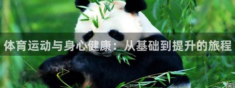 三亿体育网页版：体育运动与身心健康：从基础到提升的旅程