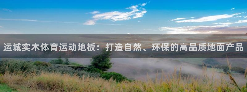 三亿体育网页版：运城实木体育运动地板：打造自然、环保的高品质地面产品