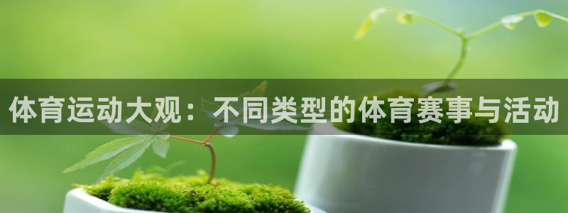 三亿体育网：体育运动大观：不同类型的体育赛事与活动