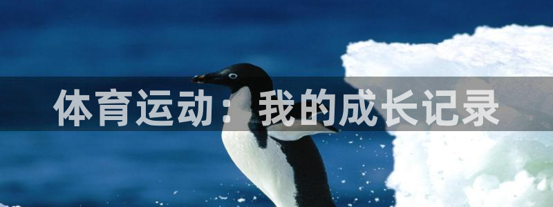 三亿体育网页版：体育运动：我的成长记录