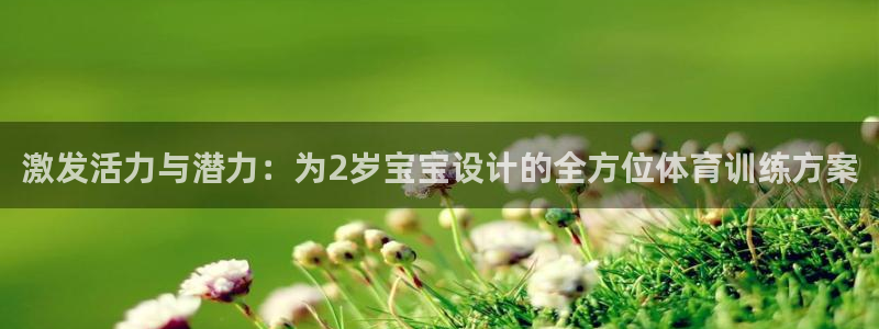 三亿体育网页版：激发活力与潜力：为2岁宝宝设计的全方位体育训练方案