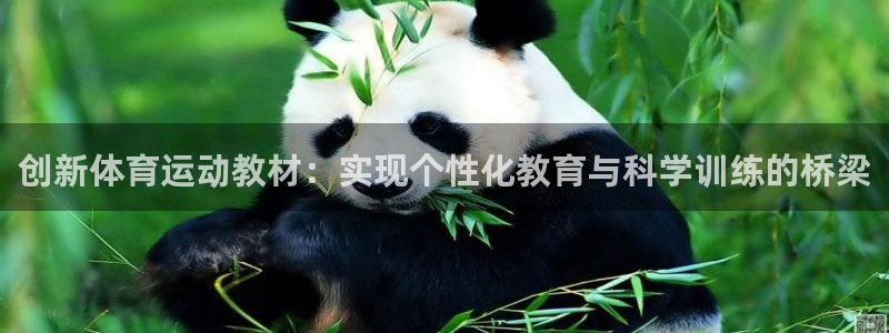 三亿体育网：创新体育运动教材：实现个性化教育与科学训练的桥梁
